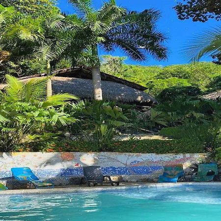 Monte Verde Hostal El Zaino Dış mekan fotoğraf
