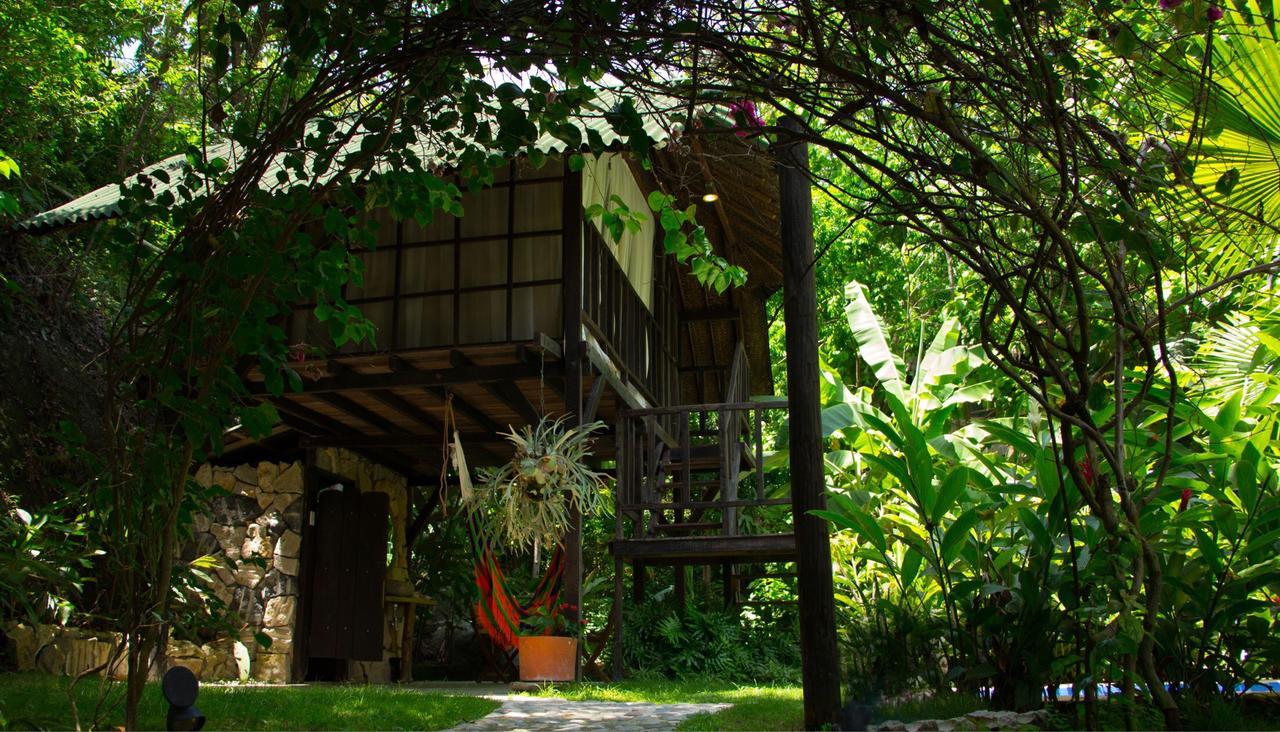 Monte Verde Hostal El Zaino Dış mekan fotoğraf